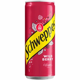 {{photo.Alt || photo.Description || 'Schweppes Wild Berry напиток газированный 330 мл'}}