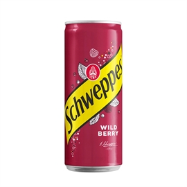 {{photo.Alt || photo.Description || 'Schweppes Wild Berry напиток газированный 330 мл'}}
