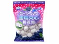 Eiwa Blueberry Marshmellow зефир с голубичной начинкой 90 гр - фото 34566
