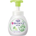 Kao Biore U Foaming Hand Soap Мыло-пенка для рук с легким цитрусовым ароматом 240мл 415981 - фото 44990