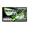 Dentyne Gum Ice Icy Lime жвачка со вкусом лайма и освежеющей мяты 15,2 гр Т1-00021822 - фото 51724